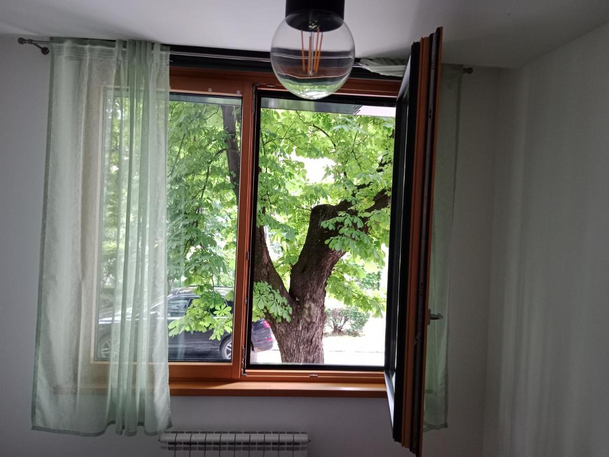 Sava Apartment Novi Sad Exterior foto